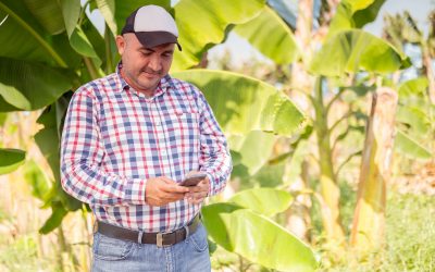 Comunicação Interna no Agronegócio: digitalização e IA como aliadas